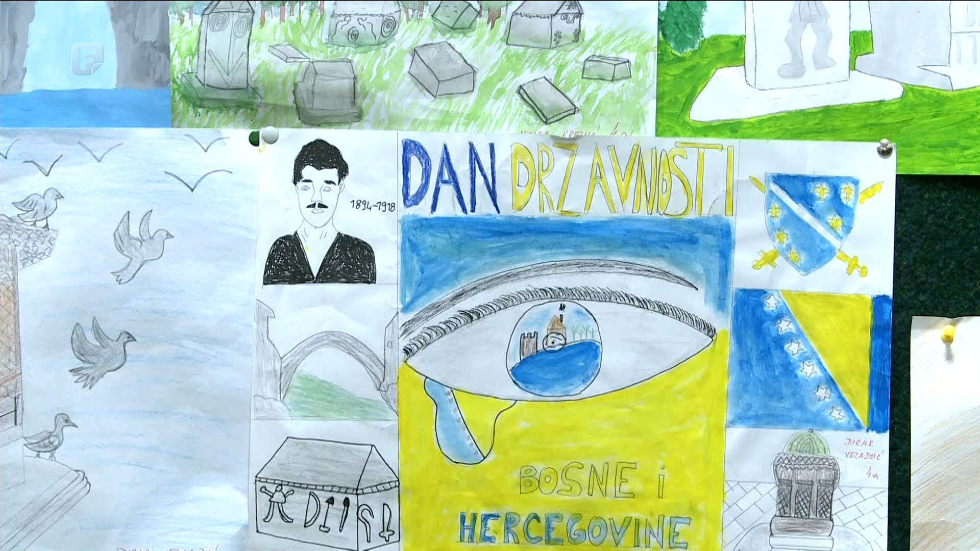 Najmlađi svojim znanjem i talentima slave Bosnu i Hercegovinu